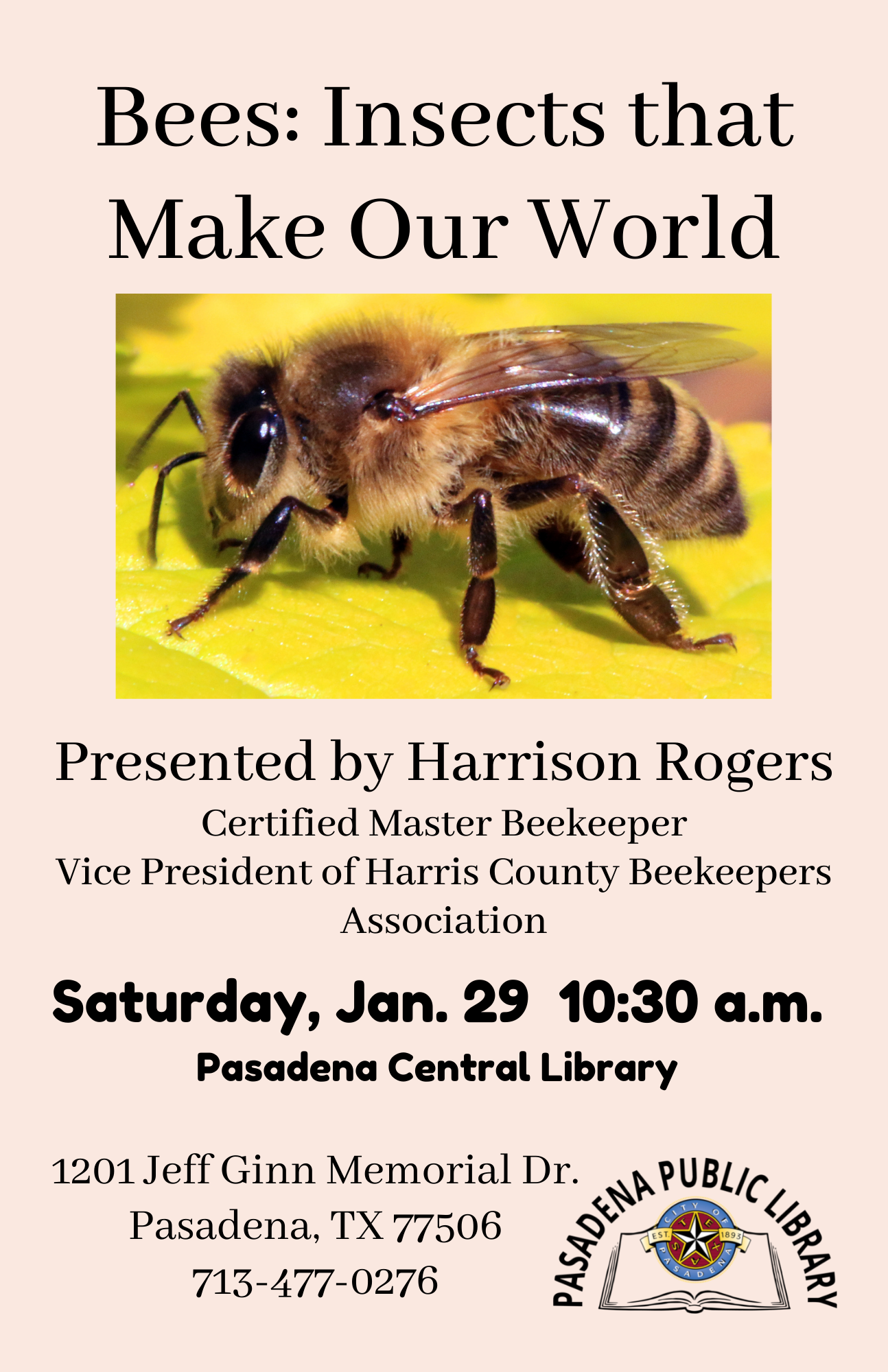 Central: Bees -- Insects that Make Our World