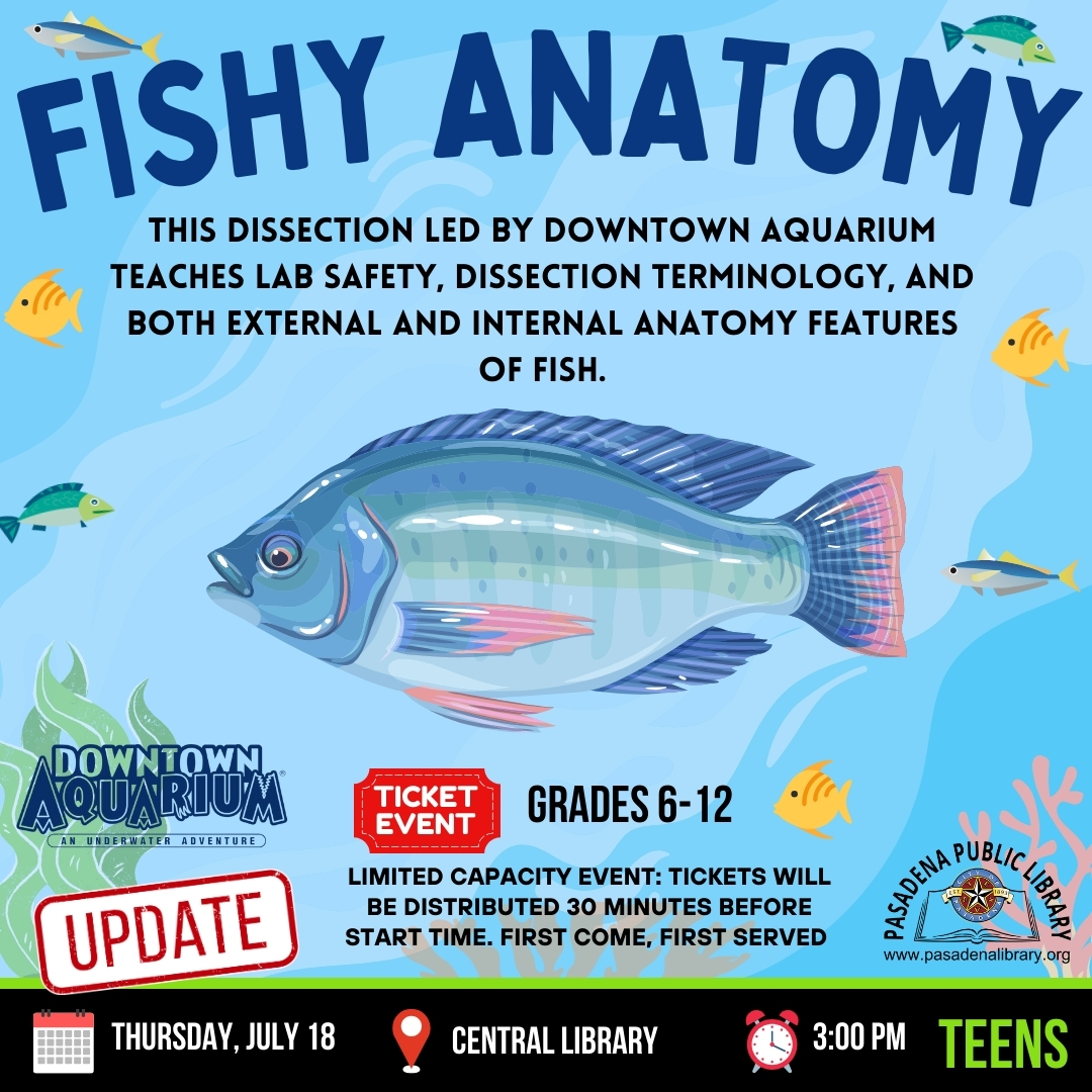 JULY 9_ FISH ANATOMY